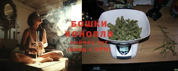 стафф Богородицк
