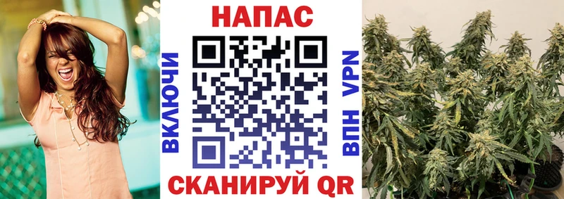 Канабис OG Kush  Медногорск 
